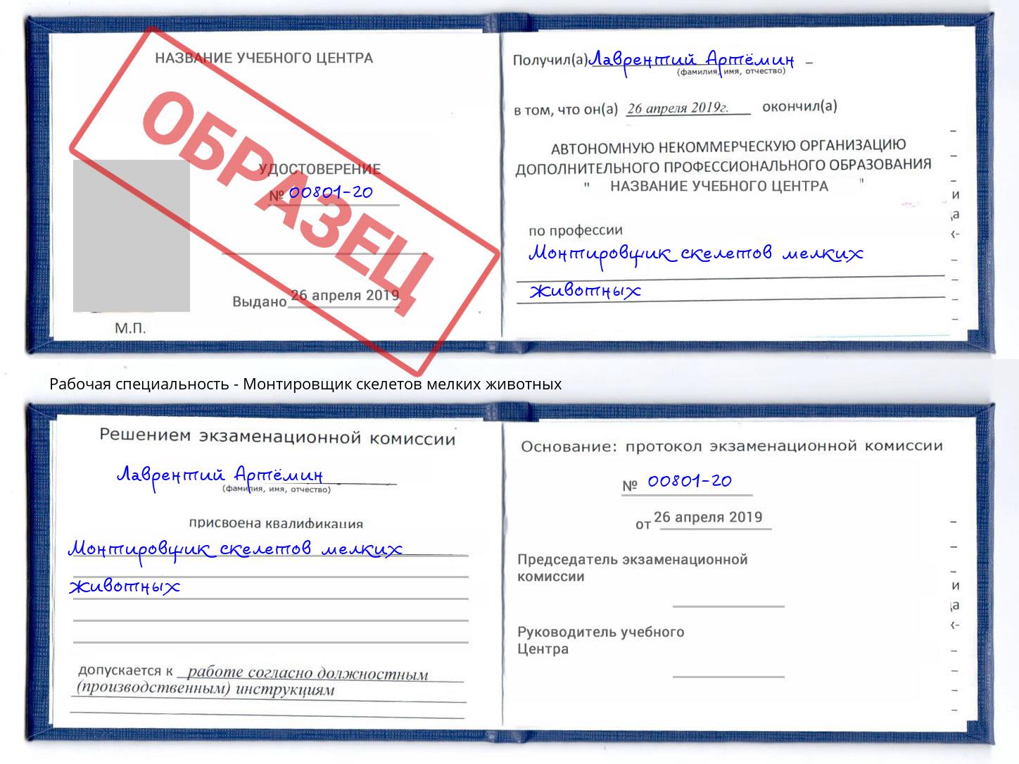Монтировщик скелетов мелких животных Добрянка