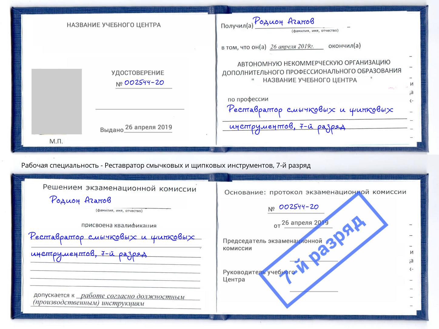 корочка 7-й разряд Реставратор смычковых и щипковых инструментов Добрянка